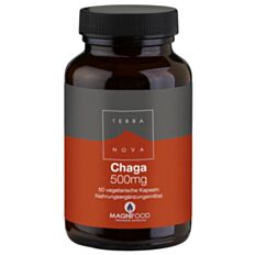 Terra Nova Chaga 500mg Kapseln 50 Stück