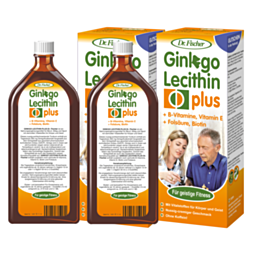 Ginkgo Lecithin plus Tonikum Dr. Fischer 1000ml (2x500ml)
