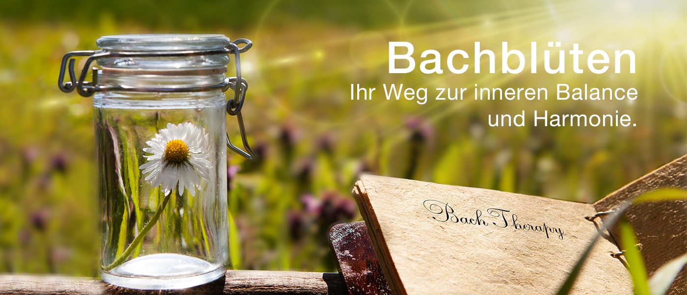 Bachblüten Bachblüten